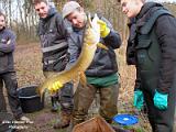 Werken de bever 2018